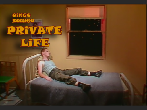 Private Life
