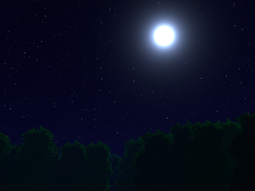 月森 ／ Moon forest