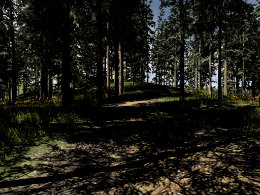 Simple forest