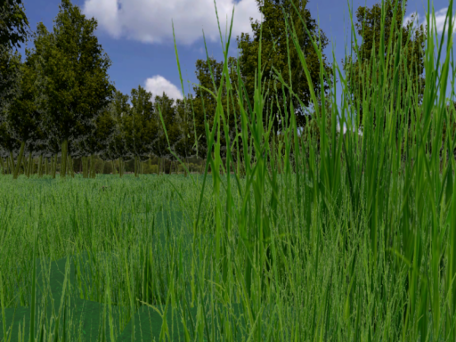 Forest of Tranquility