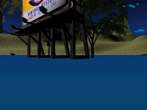 Campamento VirtualVision