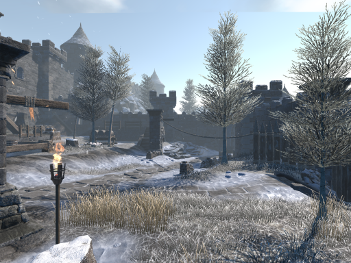 The Frozen Fortress