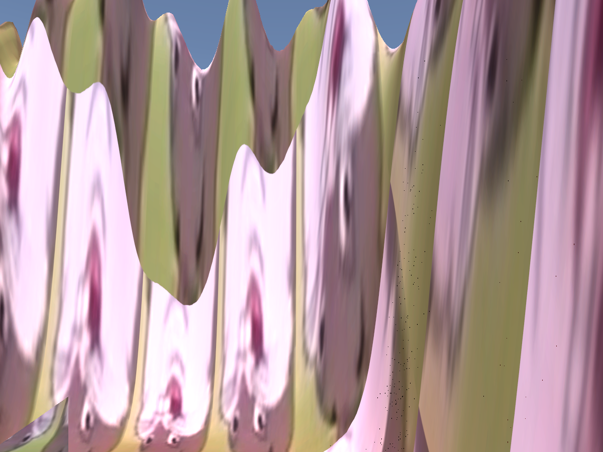 Nate's avatar world