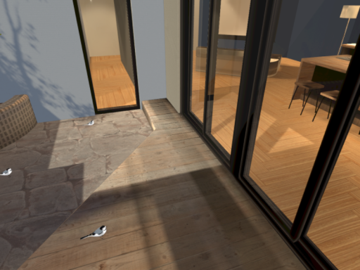 bird room