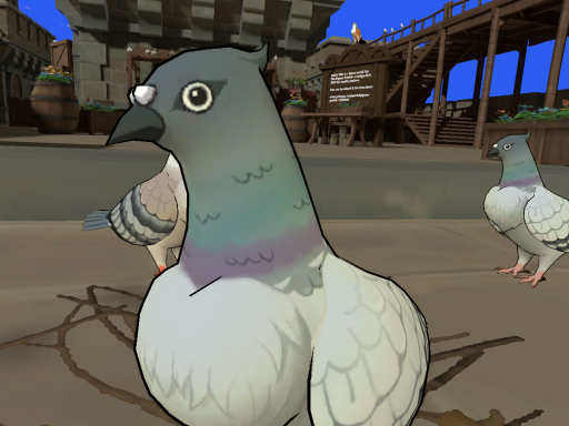 The Pigeon Coop