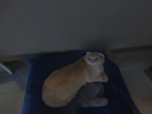 his house