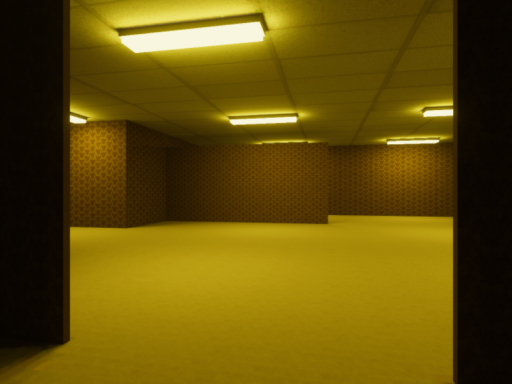 hyper's backrooms 100x scale