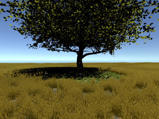 Calm Field