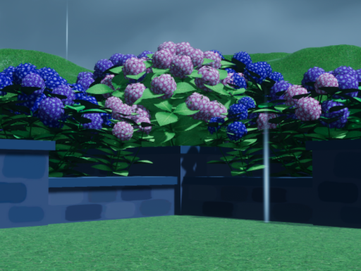 rain and hydrangeas