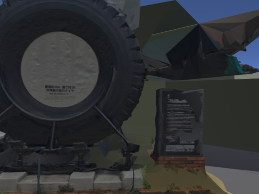 Rapogrammetry
