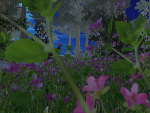 Hidden Grove