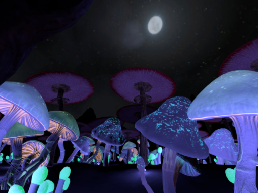 Magic Forest