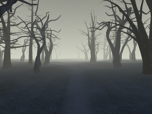 Northeast Forest