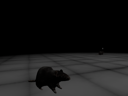 A rubber room with rats