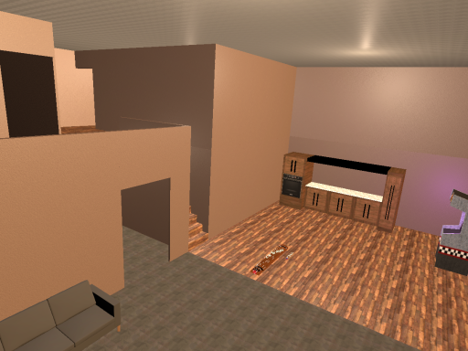 The Sus House