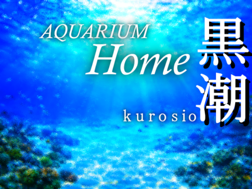 aquariumHome黒潮