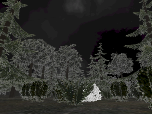 Forest