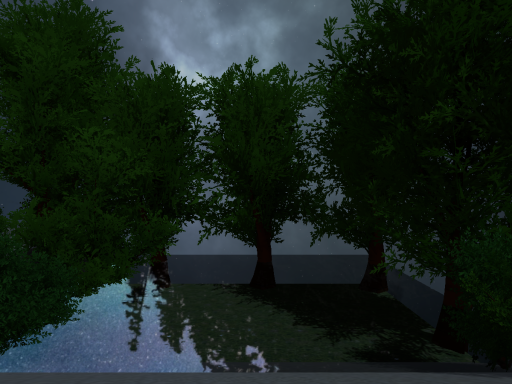 Night forest