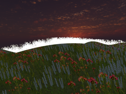 The Meadow