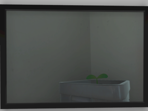 写真部屋
