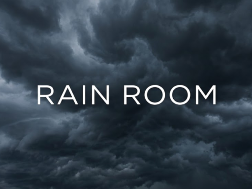 RAIN ROOM