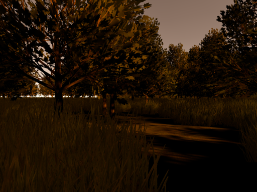 a Homestead in the middle of a forest