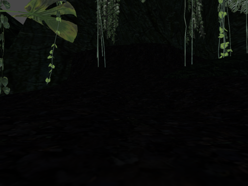 kashyyyk forest