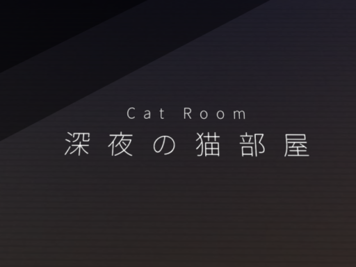 深夜の猫部屋