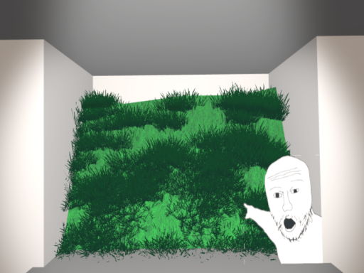 Touch Grass