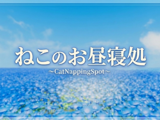 ねこのお昼寝処