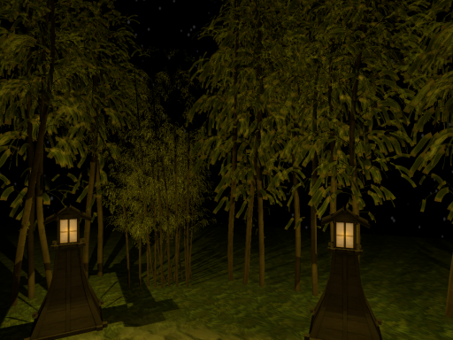 Bamboo