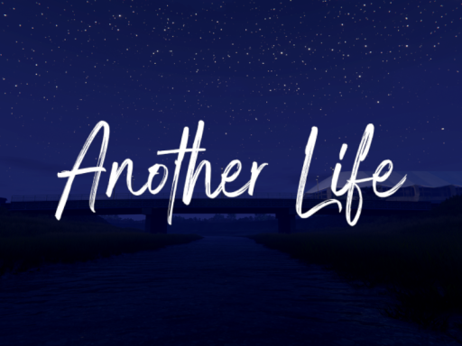Another Life