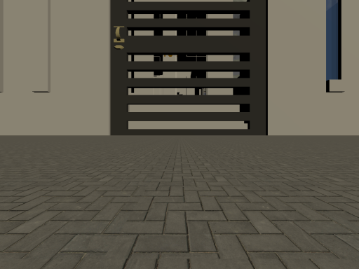 my house