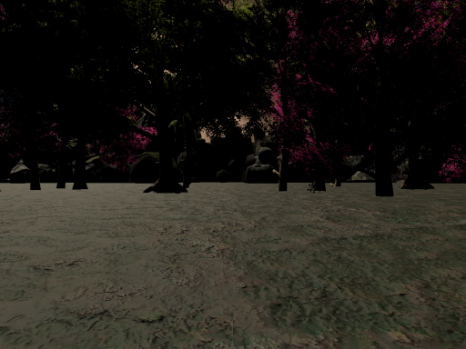 Bex's Chill World （WIP）