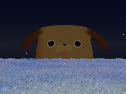 額縁どころじゃないパグ