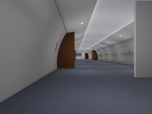 Comfy Plane