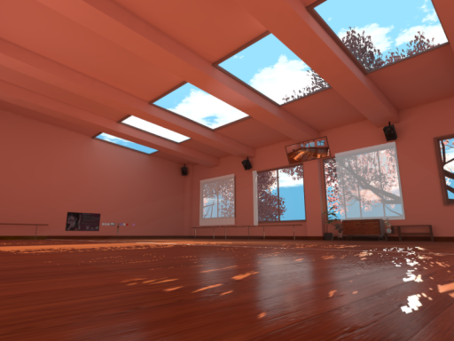 DancerooM