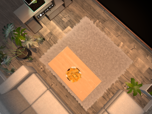 SimoRoom3