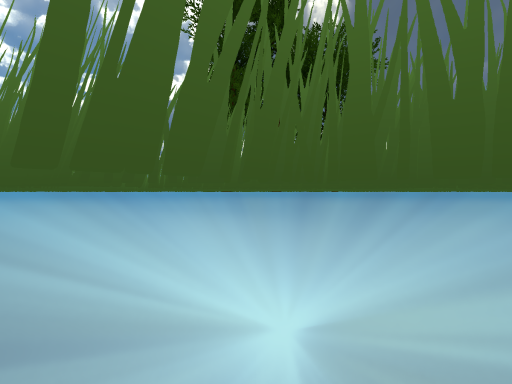 Basic Forest with Mirror