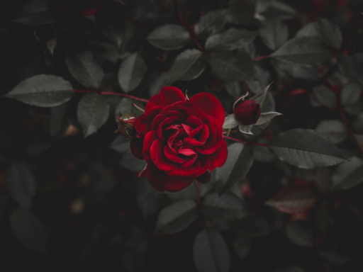 Test test （quickloading home）