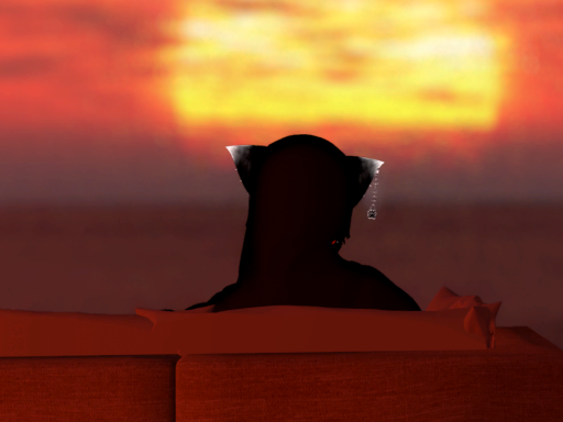 Sunset Dreams