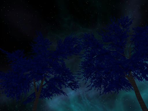 Cozy Star Gazing
