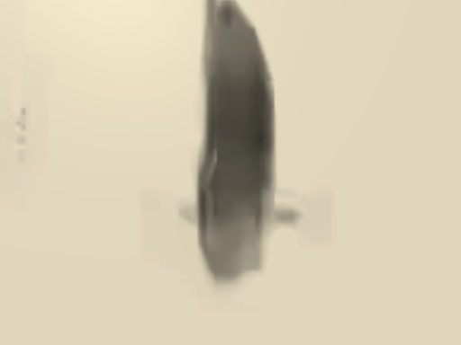 Ra pa pa Fish