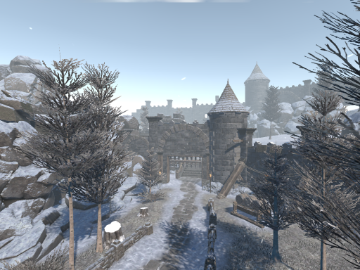 Frozen Fortress