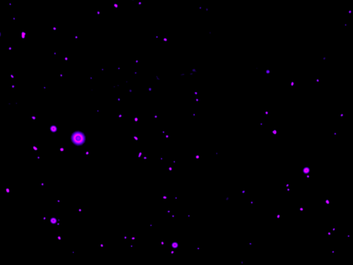 Space's Simple Home And Avis