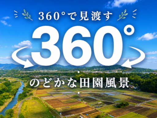 のどかな田園風景