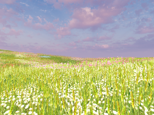 the relaxing wilderness