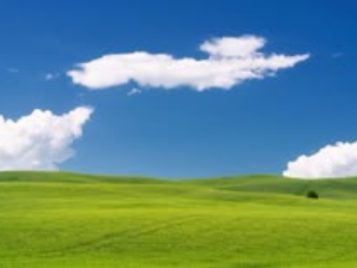 dreamcore feild