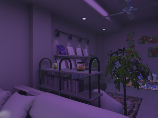 Purple dream（beta）