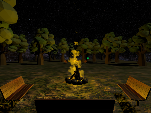 Night Woods